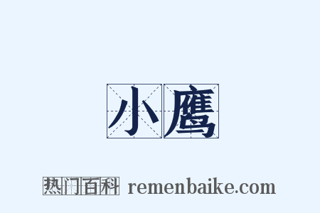 小鹰是什么意思的图片